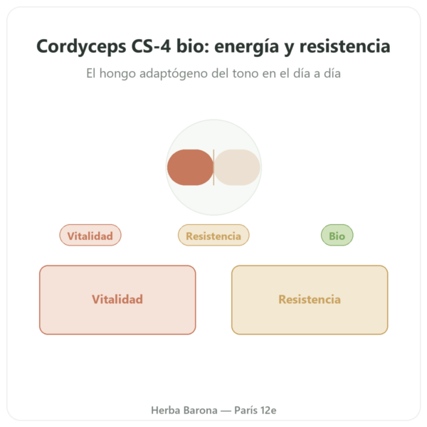 Cordyceps BIO concentrado – Cepa CS-4 – Dynveo – 60 cápsulas presentación Paris Herba Barona