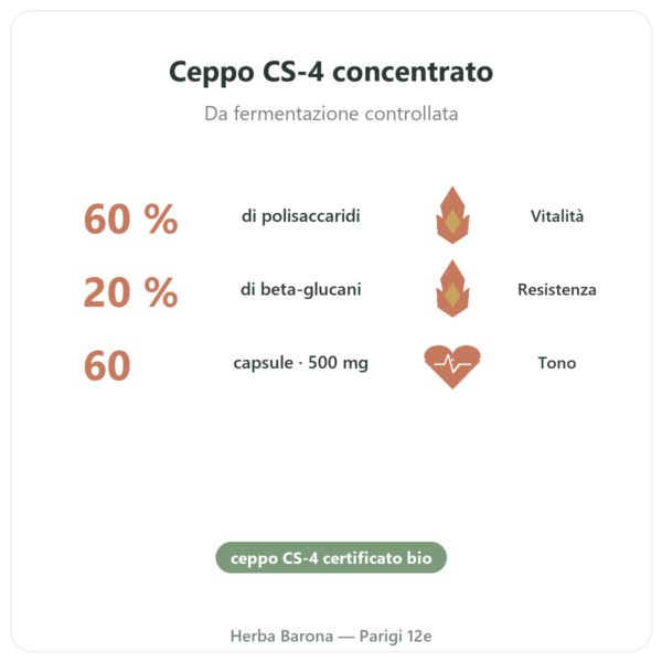 Cordyceps bio concentrato – Ceppo CS-4 – Dynveo – 60 capsule benefici e dati chiave Paris Herba Barona