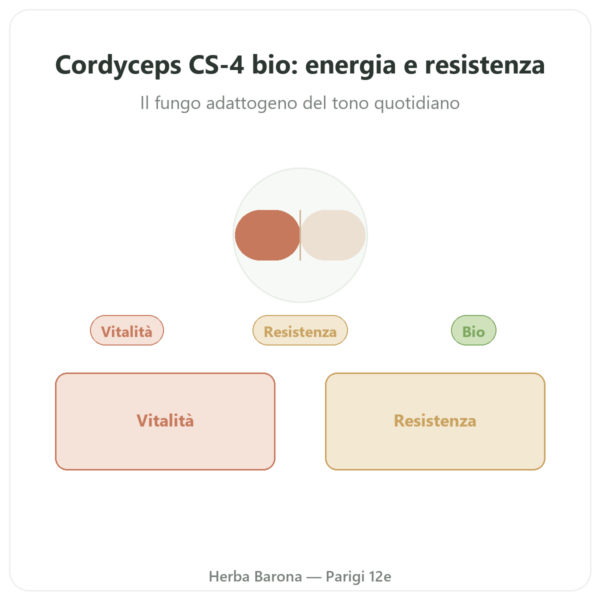 Cordyceps bio concentrato – Ceppo CS-4 – Dynveo – 60 capsule presentazione Paris Herba Barona