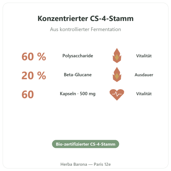 Cordyceps Bio Stamm CS-4 – Dynveo – 60 Kapseln Vorteile und Fakten Paris Herba Barona