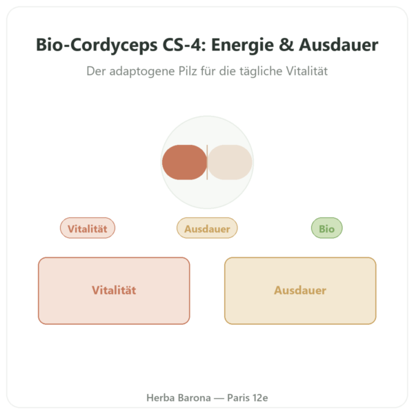 Cordyceps Bio Stamm CS-4 – Dynveo – 60 Kapseln Vorstellung Paris Herba Barona