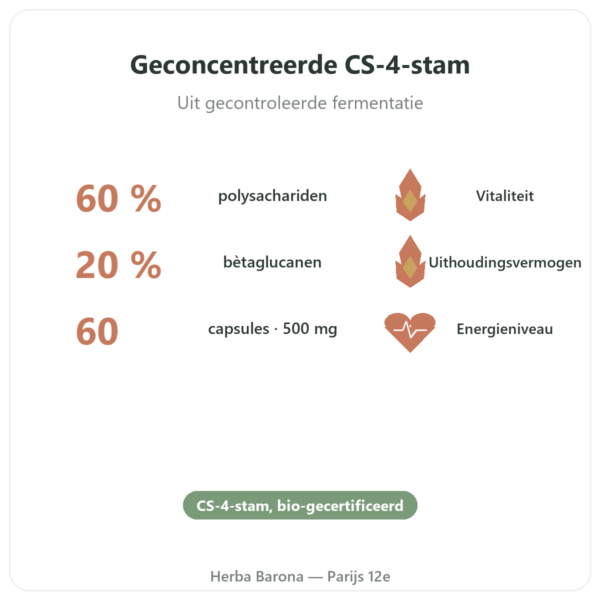 Cordyceps bio geconcentreerd – Stam CS-4 – Dynveo – 60 capsules voordelen en kerngegevens Paris Herba Barona