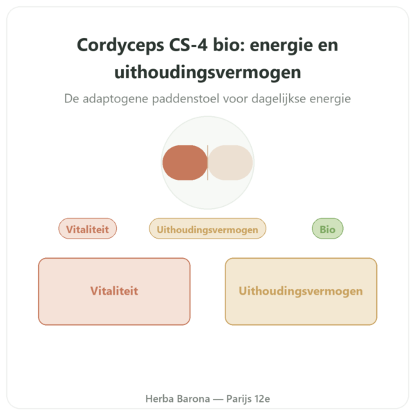 Cordyceps bio geconcentreerd – Stam CS-4 – Dynveo – 60 capsules presentatie Paris Herba Barona