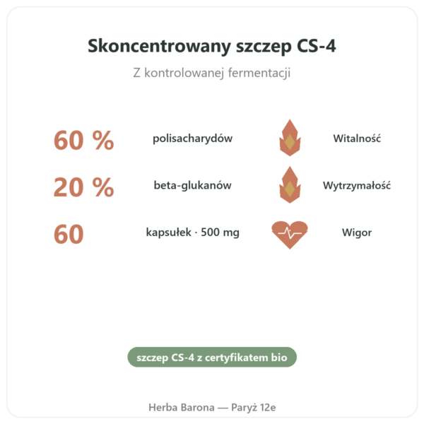 Skoncentrowany bio Cordyceps – szczep CS-4 – Dynveo – 60 kapsułek korzyści i najważniejsze fakty Paris Herba Barona