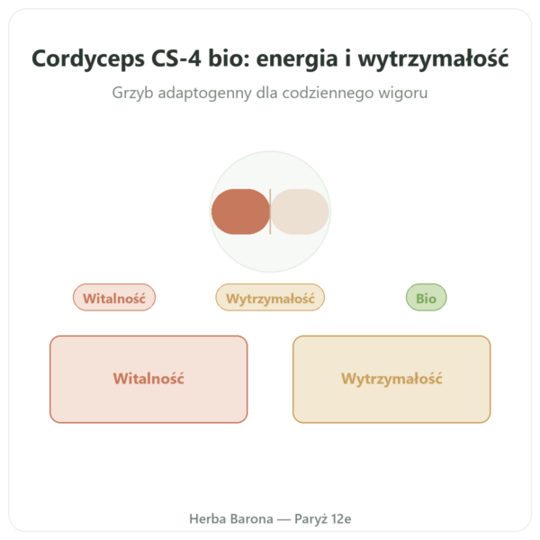 Skoncentrowany bio Cordyceps – szczep CS-4 – Dynveo – 60 kapsułek prezentacja Paris Herba Barona