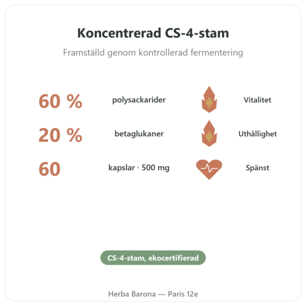 Cordyceps Bio Koncentrat – Stam CS-4 – Dynveo – 60 kapslar fördelar och nyckelfakta Paris Herba Barona