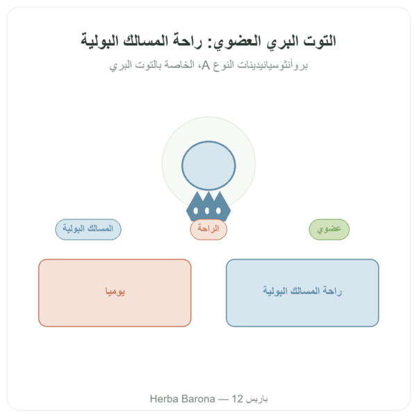 التوت البري (كرانبيري) العضوي – Dynveo – 56 ملغ PACs – 60 كبسولة عرض المنتج Paris Herba Barona