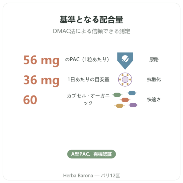 クランベリー BIO Dynveo ) PACs 56 mg 60カプセル benefits and key facts Paris Herba Barona