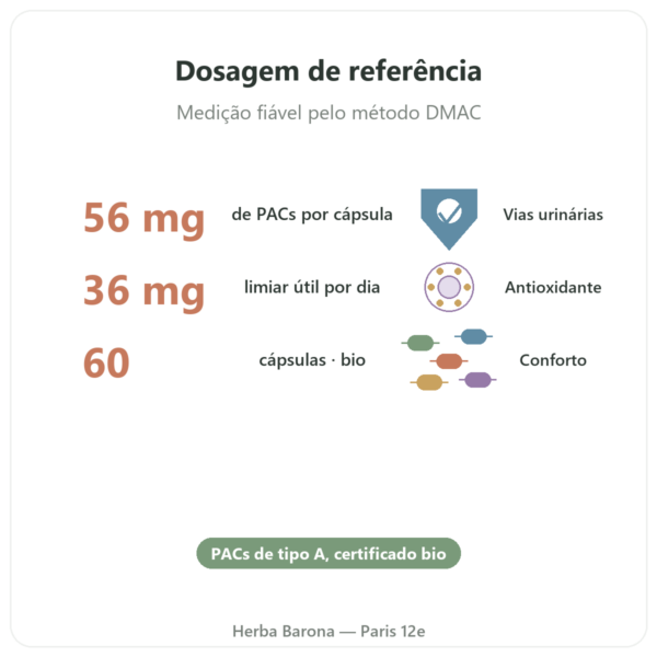 Cranberry Bio Dynveo 56mg PACs 60 cápsulas benefícios e dados principais Paris Herba Barona