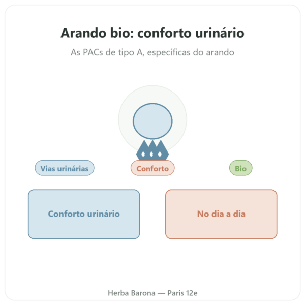 Cranberry Bio Dynveo 56mg PACs 60 cápsulas apresentação Paris Herba Barona