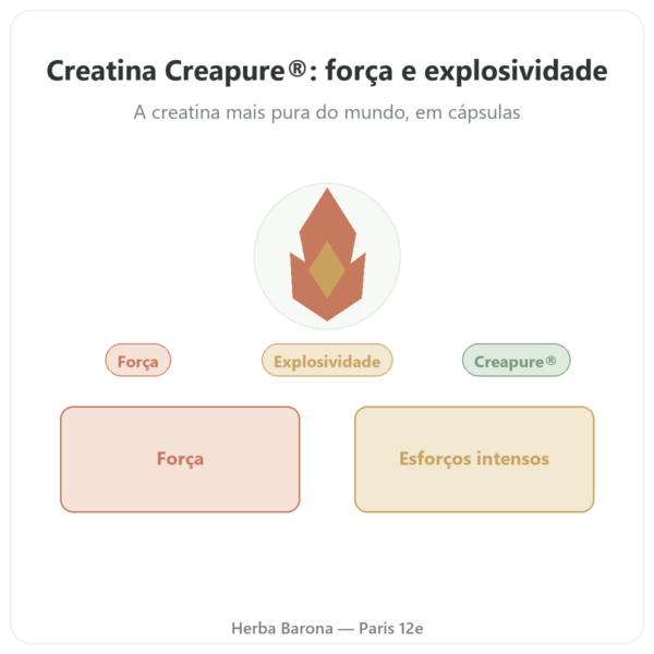 Creatina monohidrato Creapure® - Dynveo – 180 cápsulas apresentação Paris Herba Barona