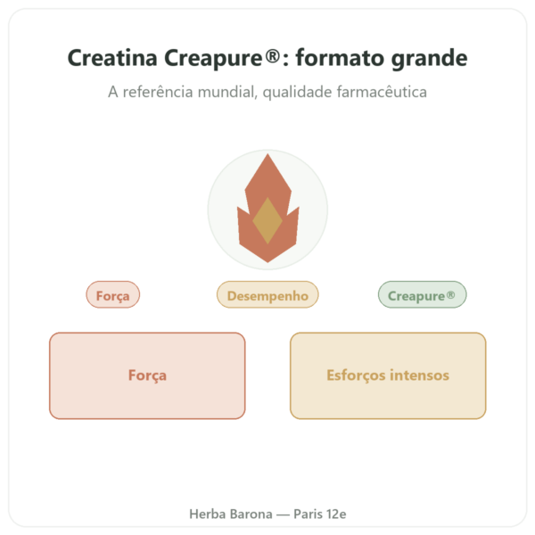 Creatina monohidrato Creapure® em pó 1 kg – Dynveo apresentação Paris Herba Barona