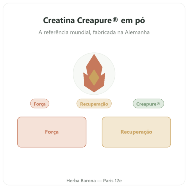 Creatina monohidrato Creapure® em pó – Dynveo – 250 g apresentação Paris Herba Barona