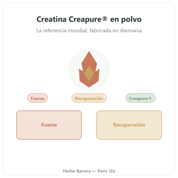 Creatina monohidrato Creapure® en polvo 250 g – Dynveo presentación Paris Herba Barona