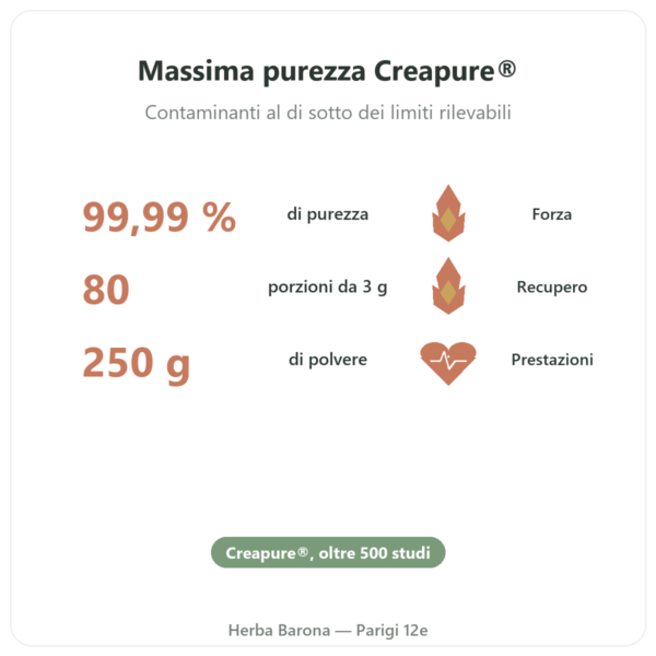 Creatina monoidrato Creapure® polvere 250 g – Dynveo benefici e dati chiave Paris Herba Barona