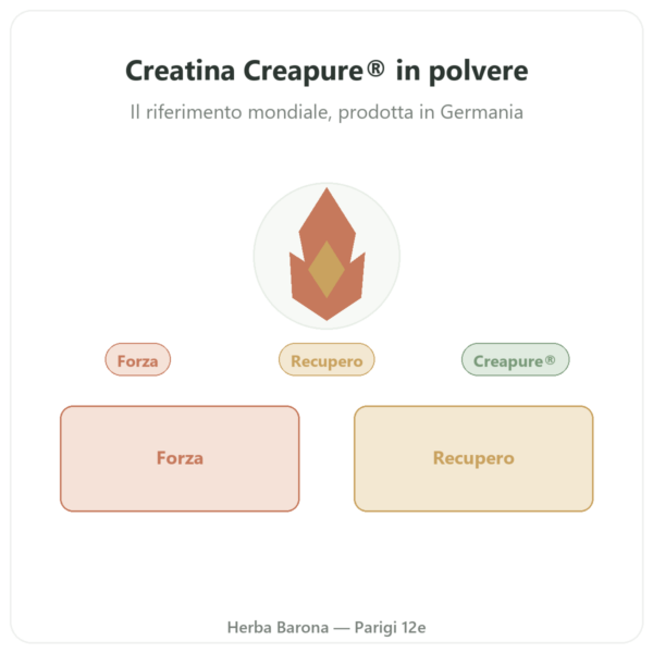 Creatina monoidrato Creapure® polvere 250 g – Dynveo presentazione Paris Herba Barona