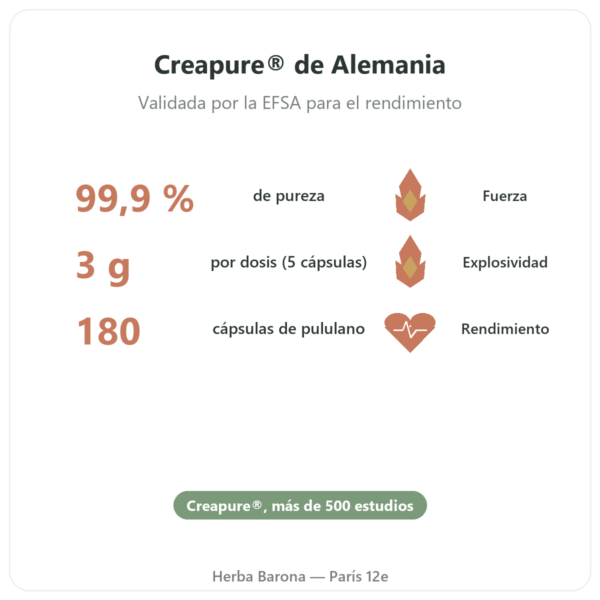 Creatina monohidrato Creapure® – Dynveo – 180 cápsulas beneficios y datos clave Paris Herba Barona