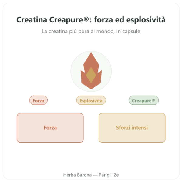 Creatina monoidrato Creapure® – Dynveo – 180 capsule presentazione Paris Herba Barona