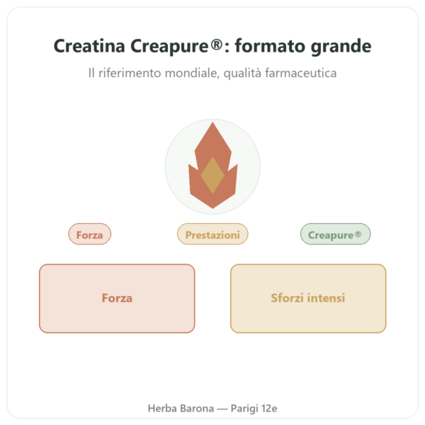 Creatina monoidrato Creapure® polvere 1 kg – Dynveo presentazione Paris Herba Barona