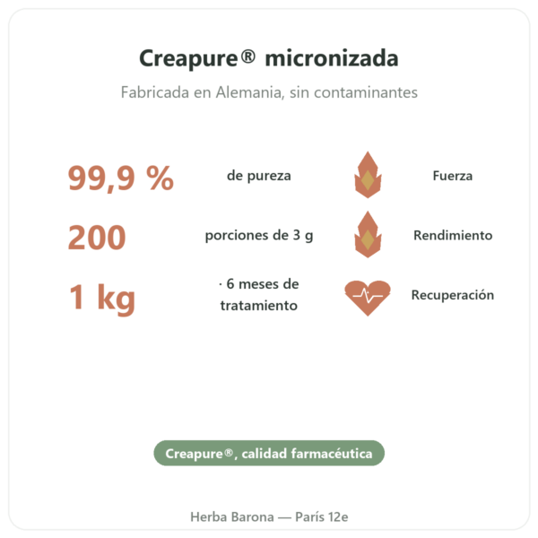 Creatina monohidrato Creapure® en polvo 1 kg – Dynveo beneficios y datos clave Paris Herba Barona