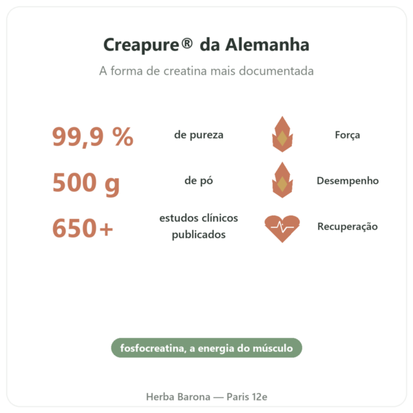 Creatina Monohidratada Creapure® 500g – Nutrend benefícios e dados principais Paris Herba Barona
