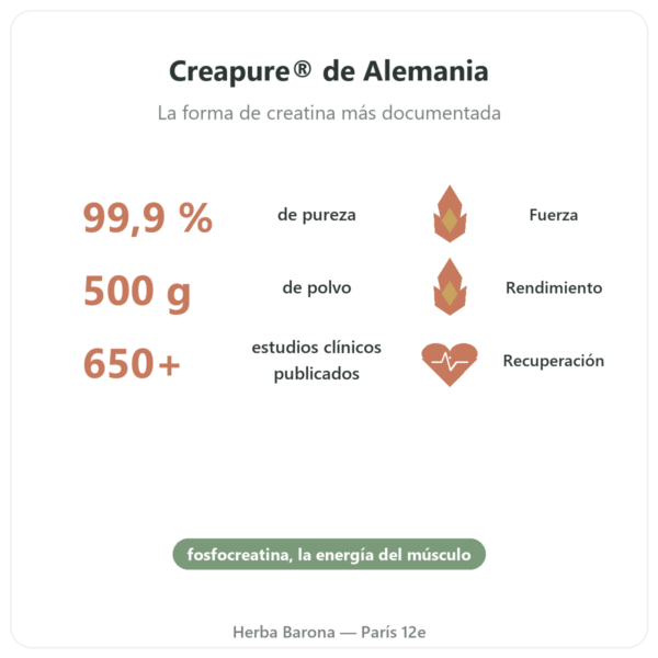 Creatina Monohidrato Creapure® 500 g – Nutrend beneficios y datos clave Paris Herba Barona