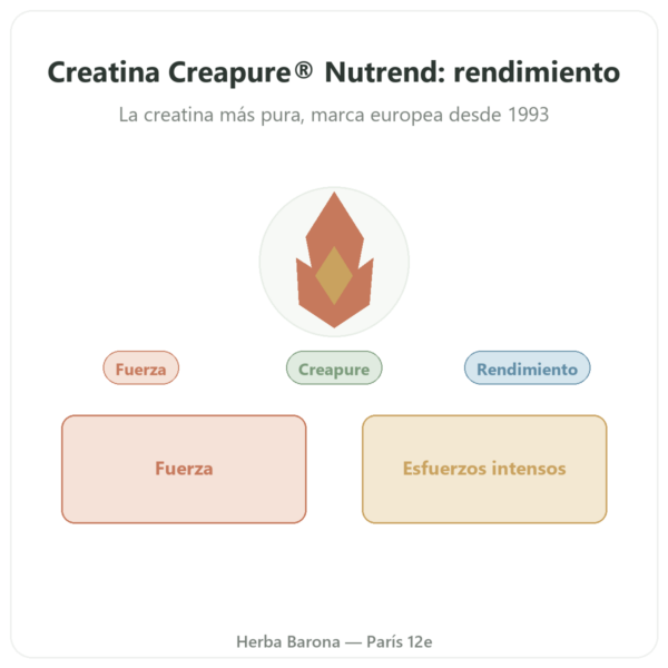 Creatina Monohidrato Creapure® 500 g – Nutrend presentación Paris Herba Barona