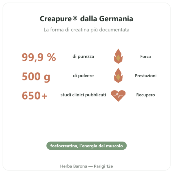 Creatina Monoidrato Creapure® 500g – Nutrend benefici e dati chiave Paris Herba Barona