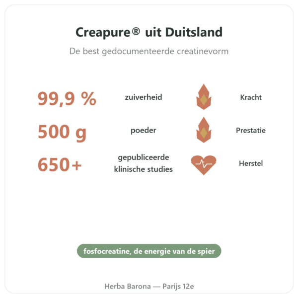 Creatine Monohydraat Creapure® 500 g – Nutrend voordelen en kerngegevens Paris Herba Barona