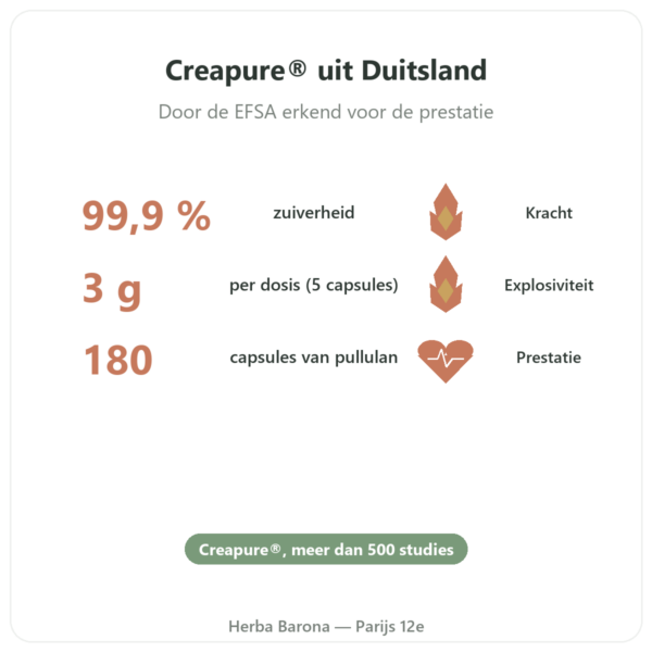 Creatine monohydraat Creapure®- Dynveo – 180 capsules voordelen en kerngegevens Paris Herba Barona