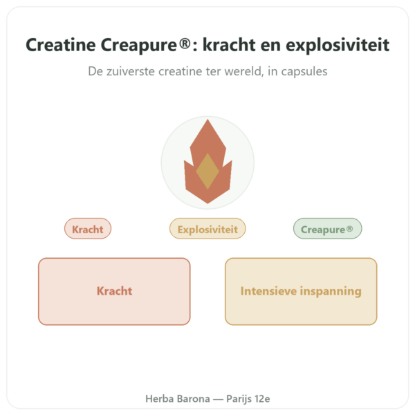 Creatine monohydraat Creapure®- Dynveo – 180 capsules presentatie Paris Herba Barona