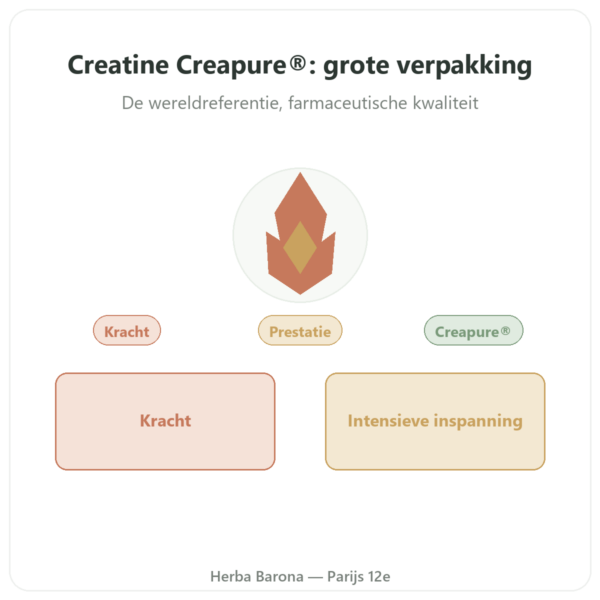 Creatine monohydraat Creapure® poeder 1 kg – Dynveo presentatie Paris Herba Barona