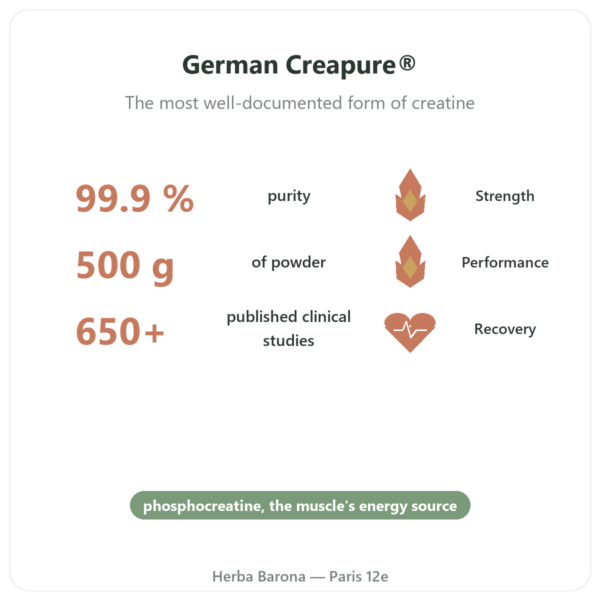 Creatine Monohydrate Creapure 500g - Nutrend benefits and key facts Paris Herba Barona