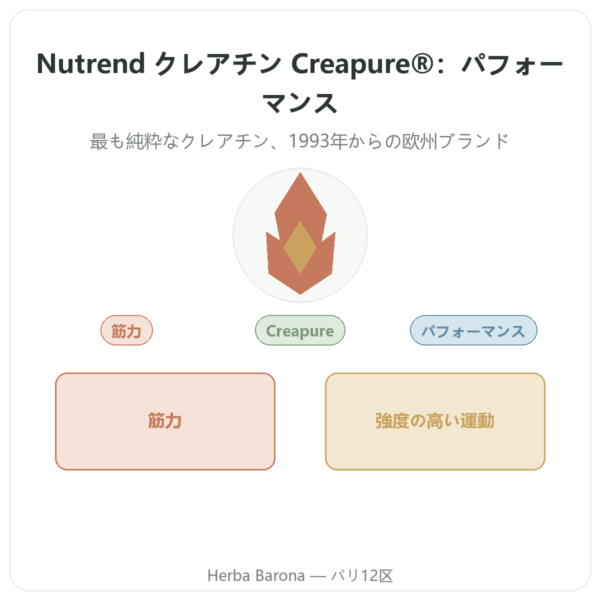 クレアチン モノハイドレート Creapure® 500 g – Nutrend presentation Paris Herba Barona