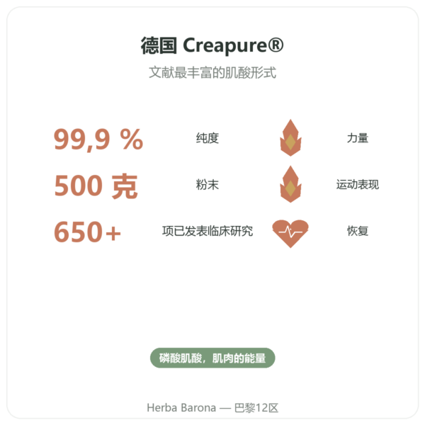 一水肌酸 Creapure® 500 g – Nutrend 功效与数据 Paris Herba Barona