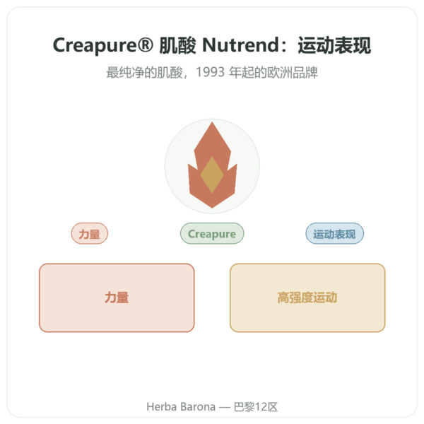 一水肌酸 Creapure® 500 g – Nutrend 产品展示 Paris Herba Barona