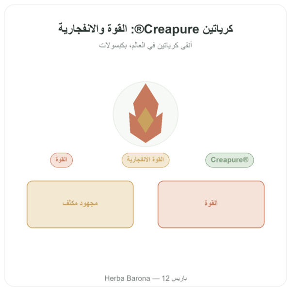 كرياتين مونوهيدرات Creapure – Dynveo – 180 كبسولة عرض المنتج Paris Herba Barona