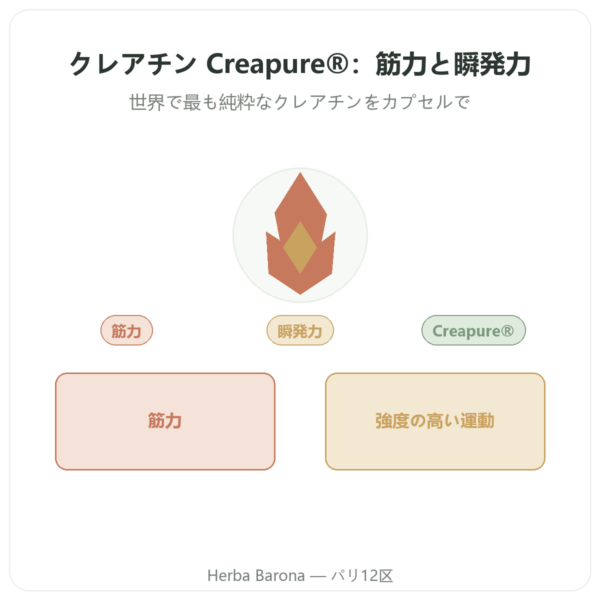クレアチン モノハイドレート Creapure®- Dynveo – 180カプセル presentation Paris Herba Barona