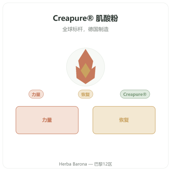 一水肌酸 Creapure® 粉末 – dynveo – 250 g 产品展示 Paris Herba Barona