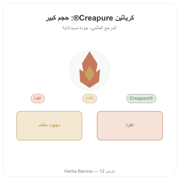 كرياتين مونوهيدرات Creapure® بودرة 1 kg – Dynveo عرض المنتج Paris Herba Barona