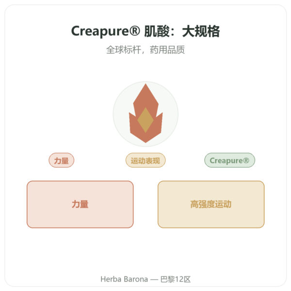 一水肌酸 Creapure® 粉末 1 kg – Dynveo 产品展示 Paris Herba Barona