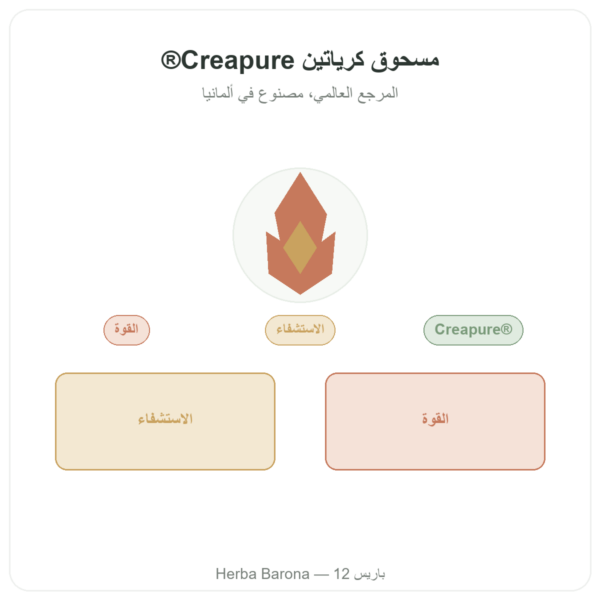 كرياتين مونوهيدرات Creapure® مسحوق – Dynveo – 250 غرام عرض المنتج Paris Herba Barona