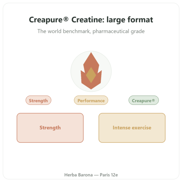 Creatine Monohydrate Creapure Powder 1kg - Dynveo presentation Paris Herba Barona