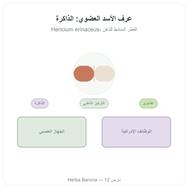 عرف الأسد العضوي – SIHO 60 كبسولة عرض المنتج Paris Herba Barona