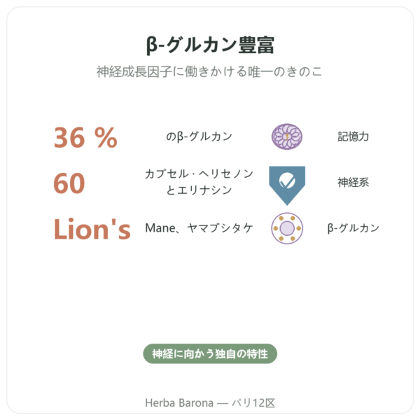 ヤマブシタケ(ライオンズメーン)ビオ – SIHO 60カプセル benefits and key facts Paris Herba Barona