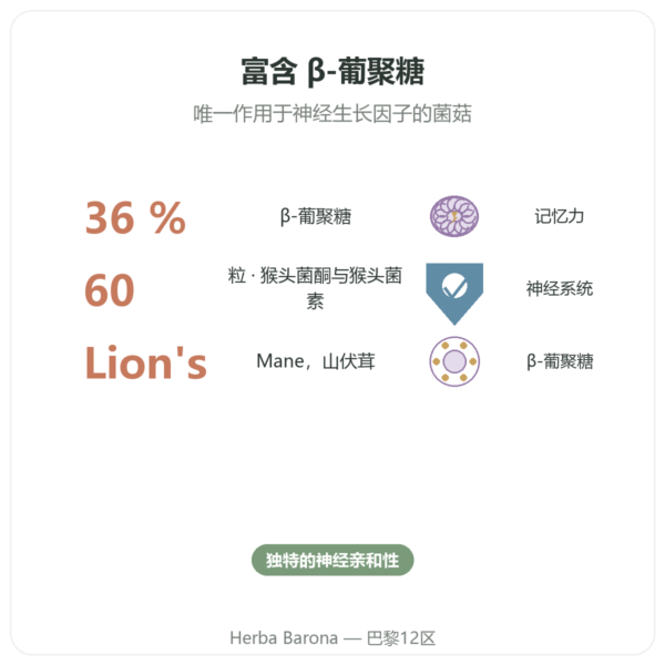 有机狮鬃菇(Lion's Mane)– SIHO 60粒胶囊 功效与数据 Paris Herba Barona