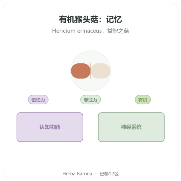 有机狮鬃菇(Lion's Mane)– SIHO 60粒胶囊 产品展示 Paris Herba Barona