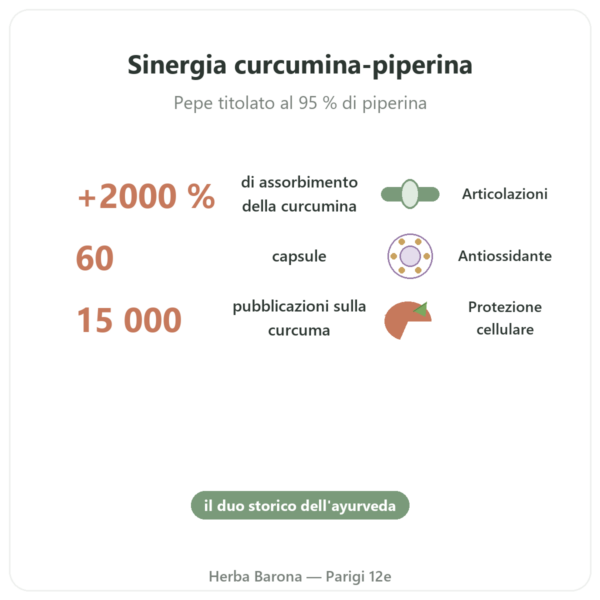 Curcuma Pepe – Ayur-vana – 60 capsule benefici e dati chiave Paris Herba Barona