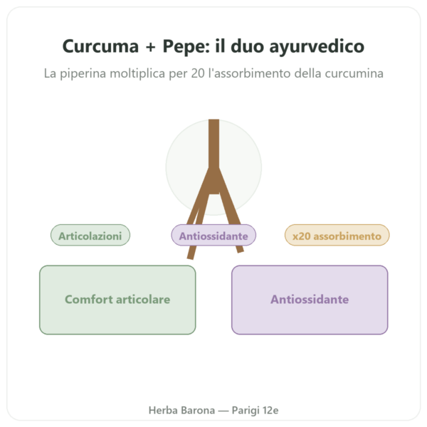 Curcuma Pepe – Ayur-vana – 60 capsule presentazione Paris Herba Barona