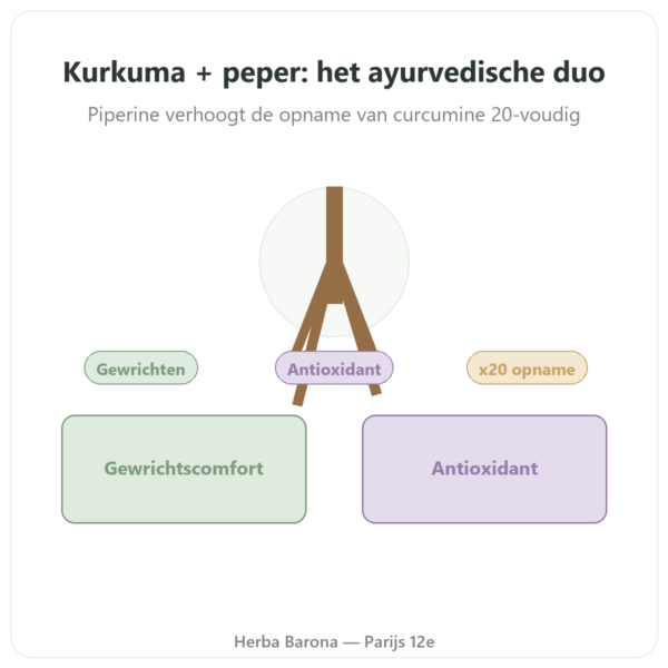 Curcuma Peper – Ayur-vana – 60 capsules presentatie Paris Herba Barona